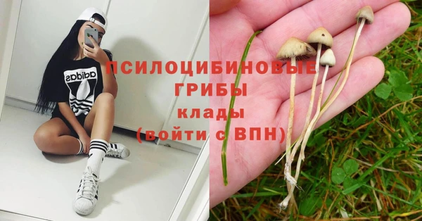 apvp Аркадак