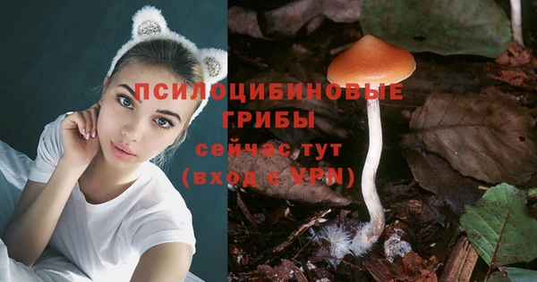 соль ск Арсеньев