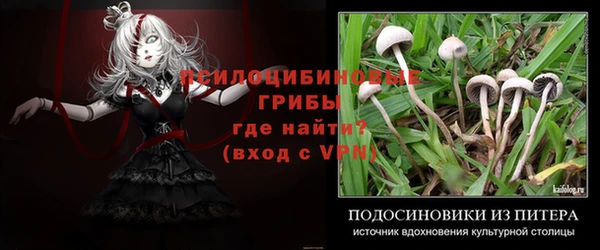 apvp Аркадак