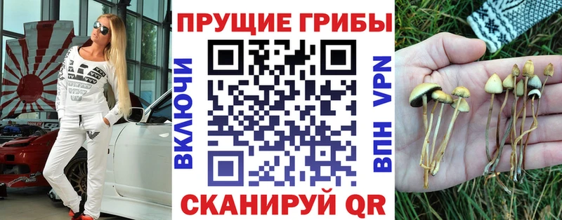 МЕГА сайт  купить наркоту  Баймак  Псилоцибиновые грибы прущие грибы 